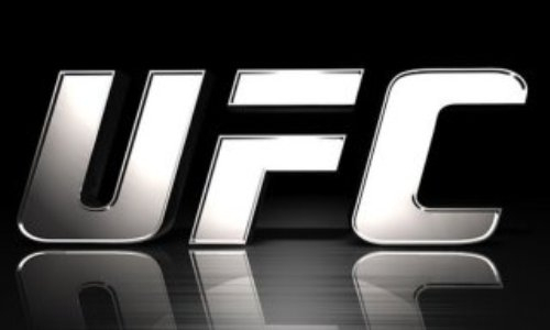 Казахстанские бойцы на пороге UFC