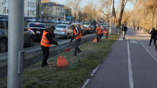 Стартует масштабная уборка в Алматы перед зимой