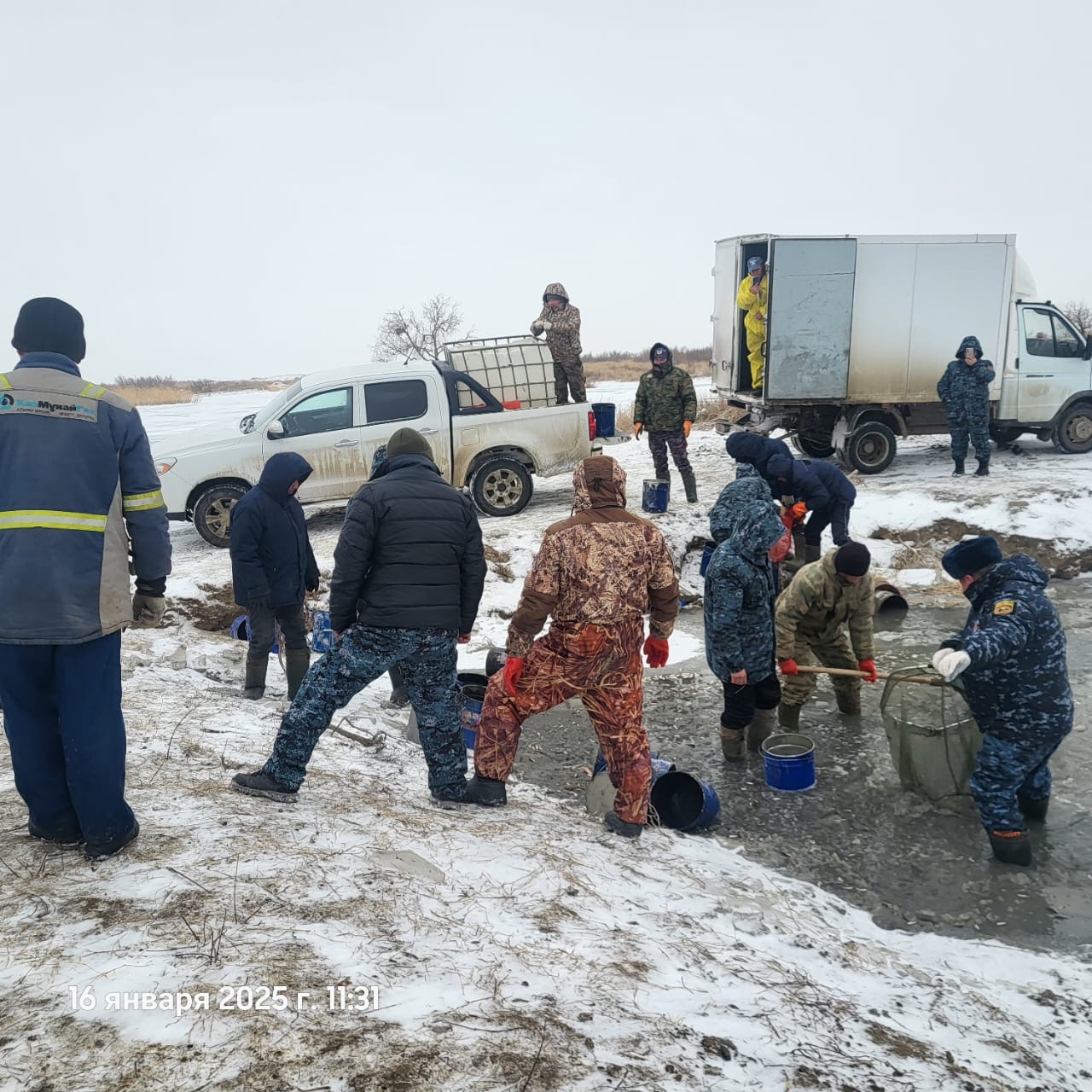 Более 3 млн молодых рыб спасены на водоканале Баксай