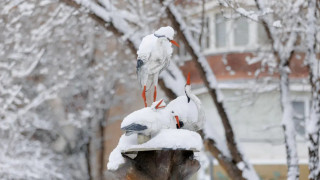 Переменчивая облачность и туман: погода в Казахстане на 5 февраля