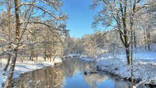 Туманы и метели: погода в Казахстане на 12 февраля