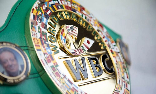 Мейирим Нурсултанов - главный претендент на чемпионский титул WBC 2025 года